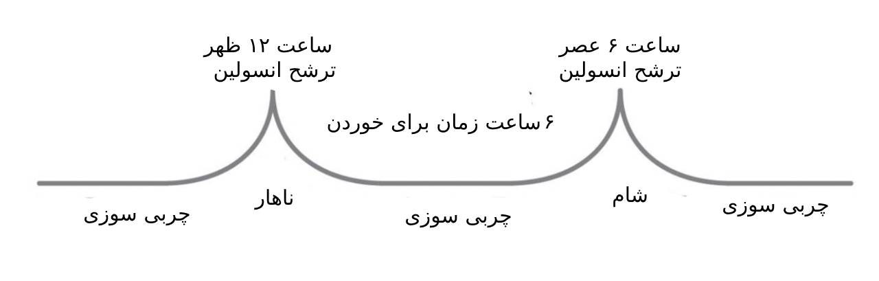 روزه داری متناوب و چربی سوزی