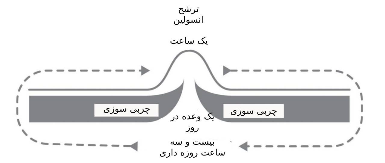 یک وعده در روز