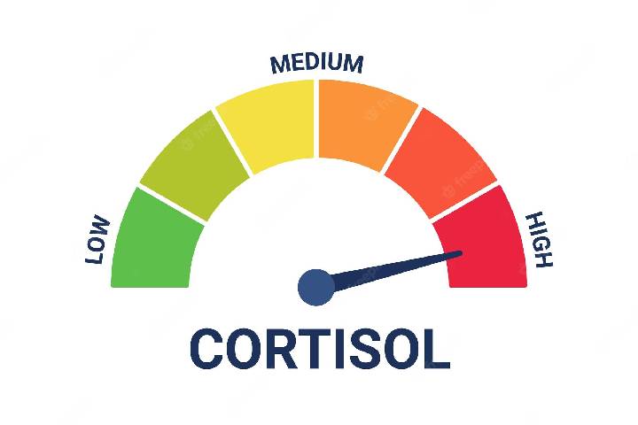 علائم کورتیزول بالا و پایین