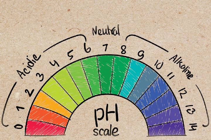 PH پوست